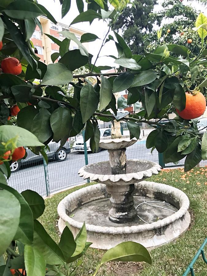Gifsa Sevilla - Parque Alcosa Eksteriør billede